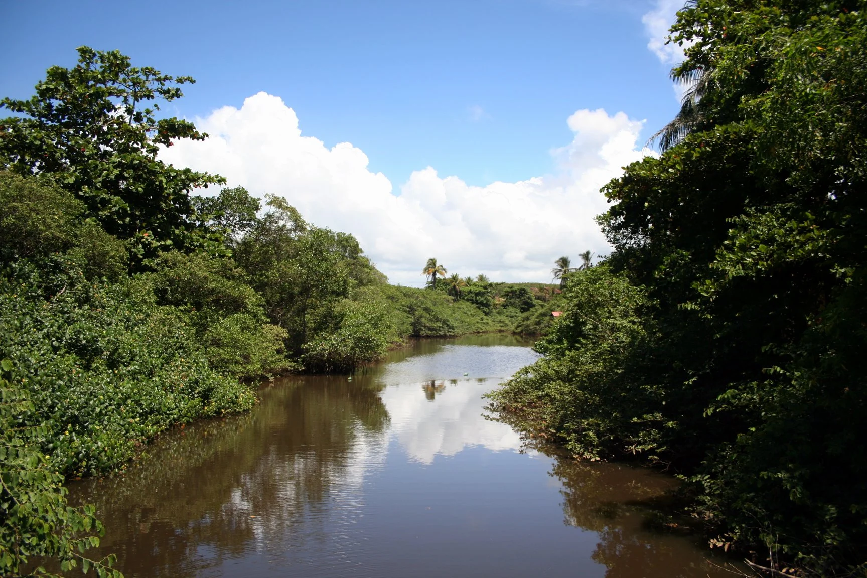 Previa do album